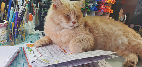 Percy, cat nap on my notebook